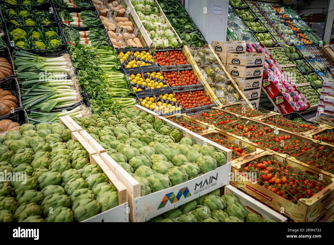 Sezione frutta e verdura, a Mercabarna. I mercati centrali di Barcellona. Barcellona. Spagna Foto Stock