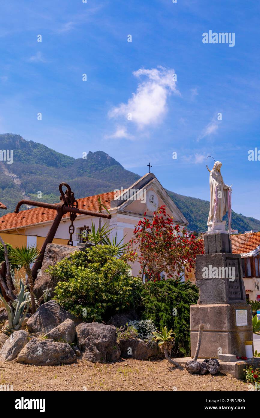 Marina de Forio, Porto e Spiaggia di Forio, Forio, Ischia, Campania, Italia, Europa sud-occidentale Foto Stock