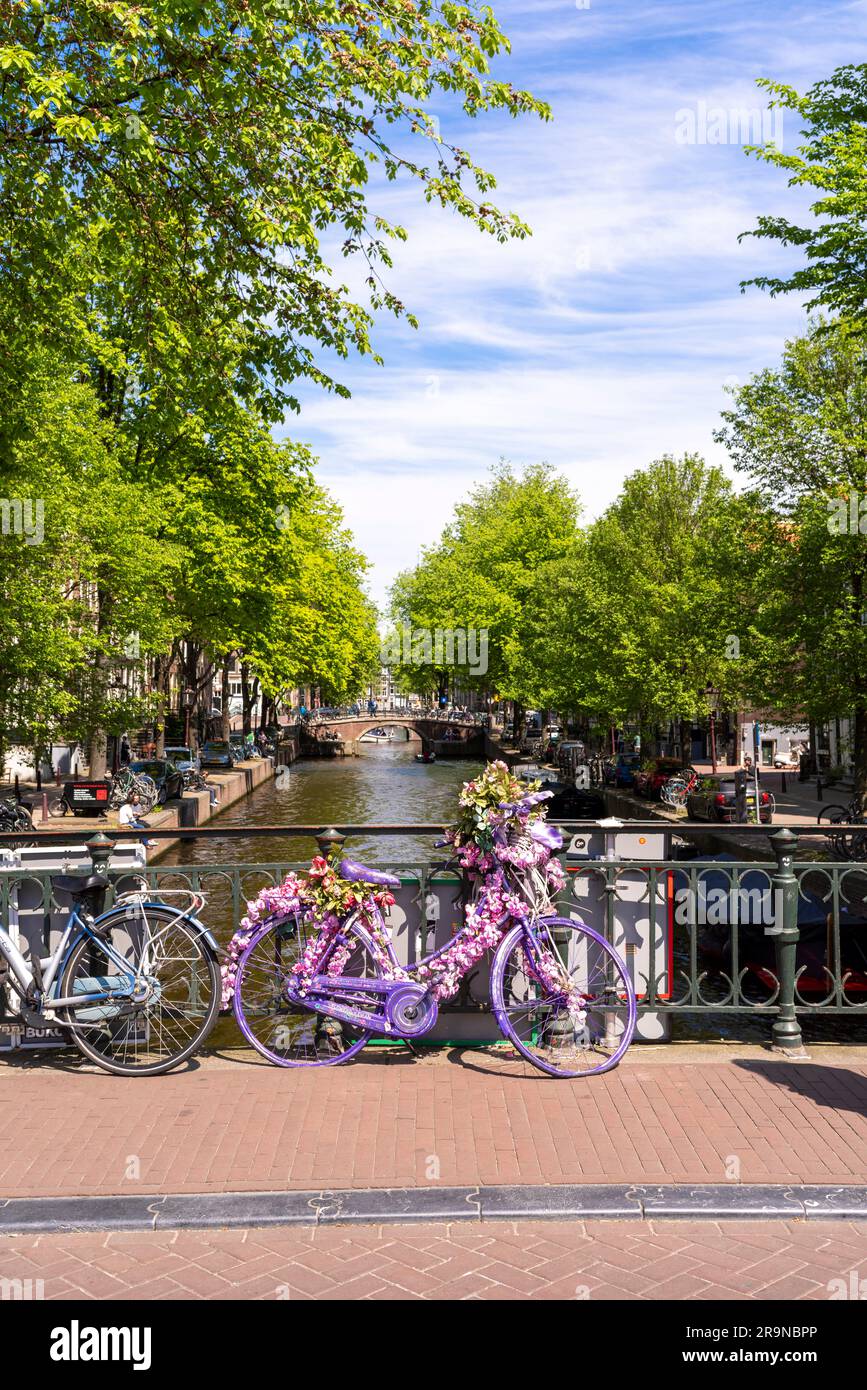 Una bicicletta con fiori a Prinsengracht, Amsterdam, Paesi Bassi Foto Stock