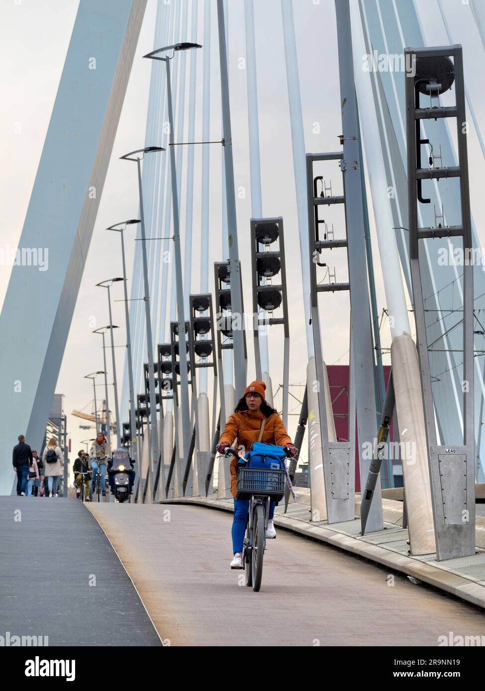 Il nuovo e bellissimo ponte sospeso di Rotterdam si aggiunge notevolmente allo skyline della città, e prende il nome dal grande filosofo e umanista olandese rinascimentale Foto Stock