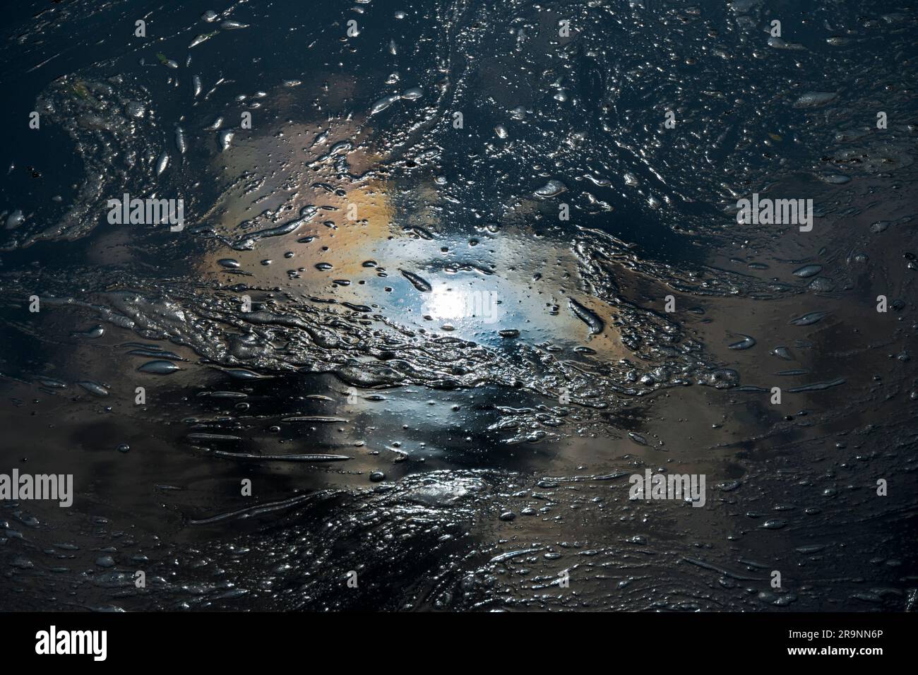 A volte soffro di una strana illusione; guardare in basso nell'acqua mi ricorda spesso notti stellate o viste galattiche. Prendiamo questa posizione, per esempio Foto Stock
