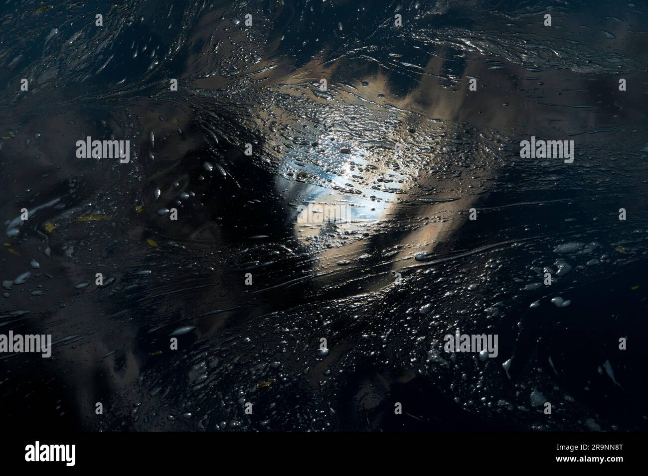 A volte soffro di una strana illusione; guardare in basso nell'acqua mi ricorda spesso notti stellate o viste galattiche. Prendiamo questa posizione, per esempio Foto Stock