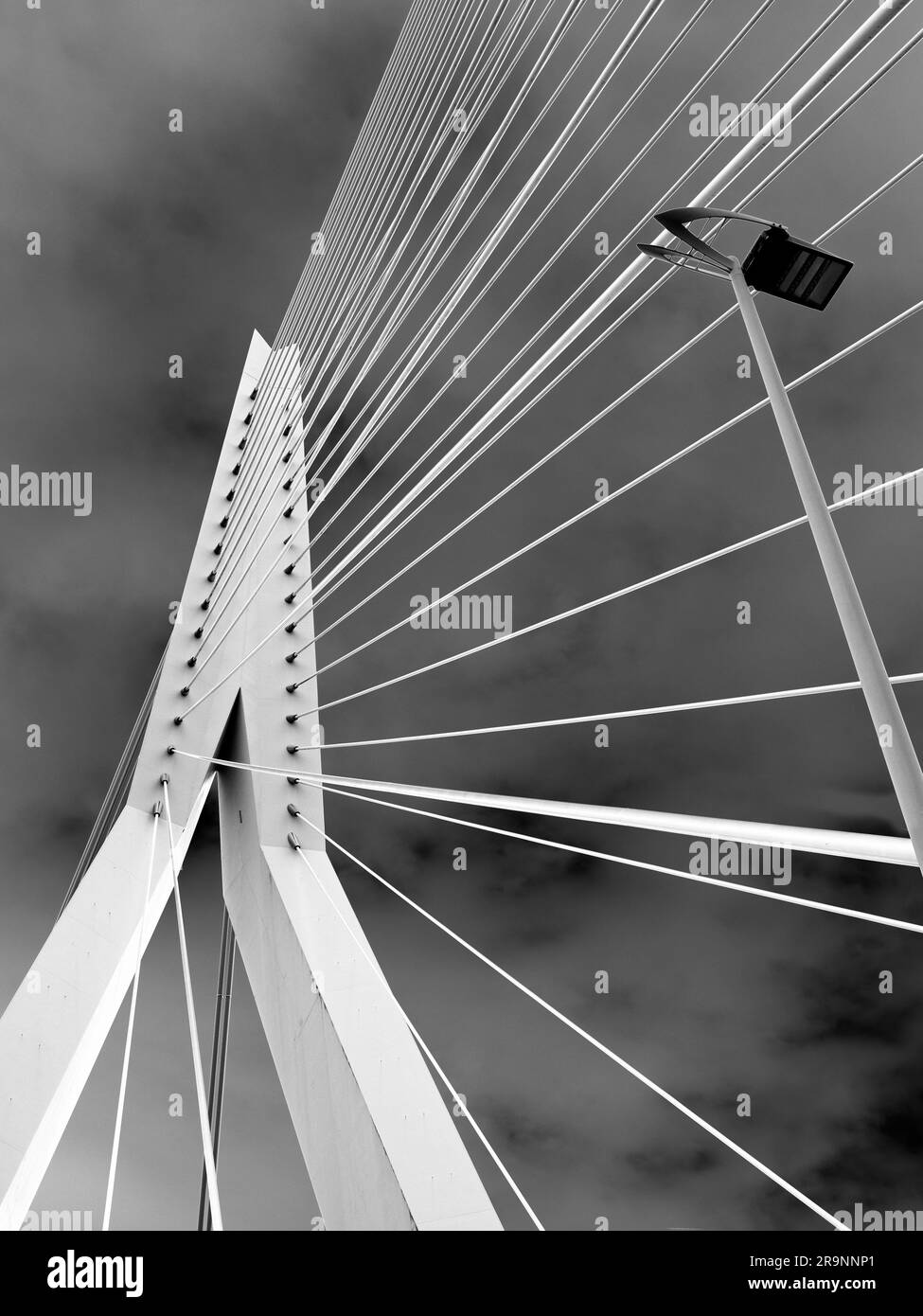 Il nuovo e bellissimo ponte sospeso di Rotterdam si aggiunge notevolmente allo skyline della città, e prende il nome dal grande filosofo e umanista olandese rinascimentale Foto Stock