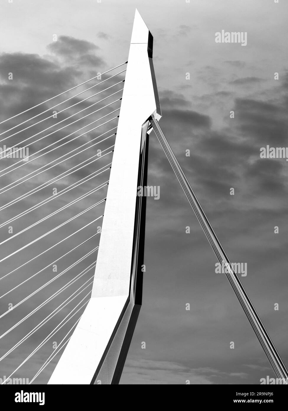 Il nuovo e bellissimo ponte sospeso di Rotterdam si aggiunge notevolmente allo skyline della città, e prende il nome dal grande filosofo e umanista olandese rinascimentale Foto Stock