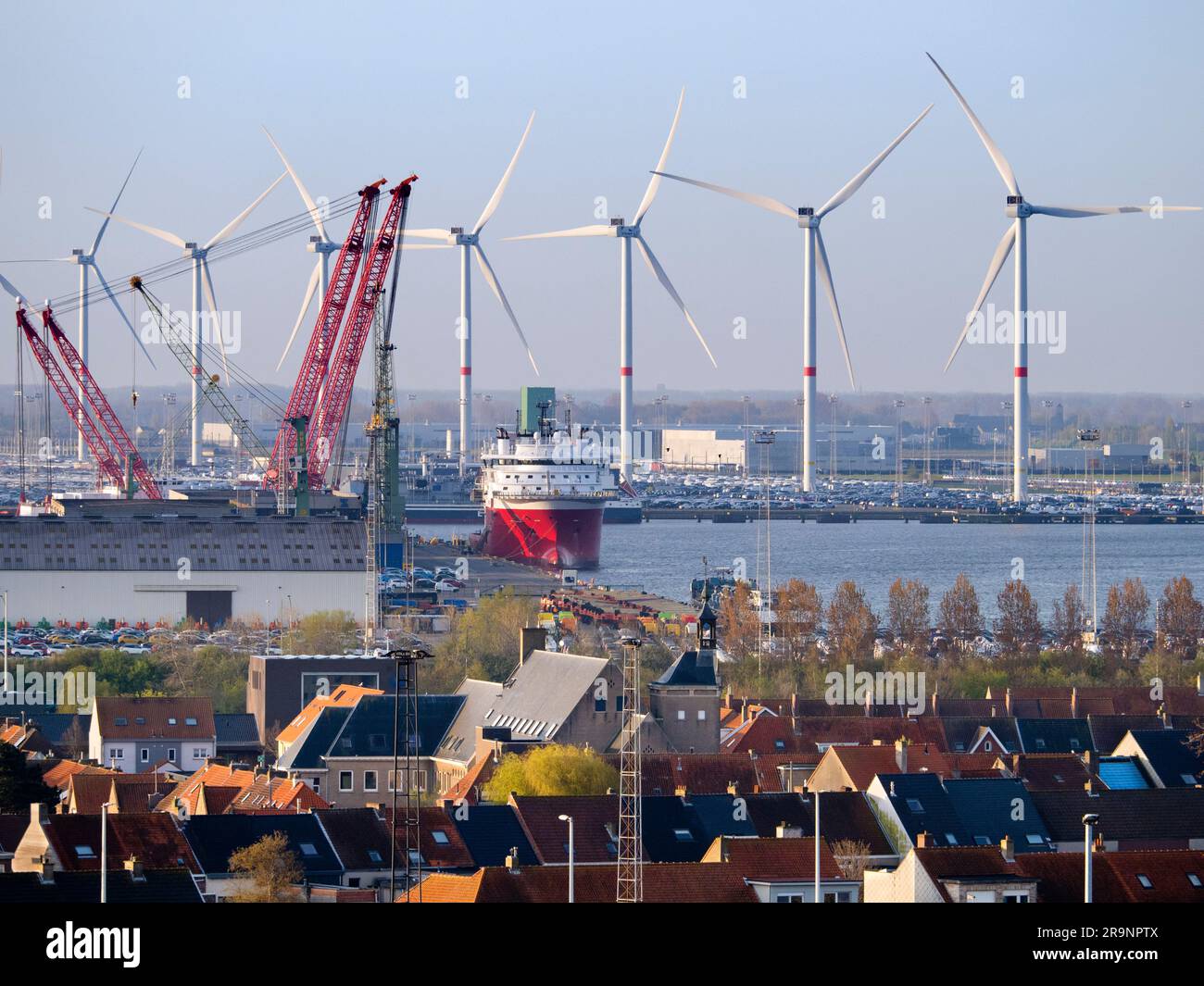 Il porto di Zeebrugge (che significa Bruges-on-Sea) è un grande container, carico alla rinfusa, veicoli nuovi e terminal dei traghetti passeggeri sul Mare del Nord. handl Foto Stock