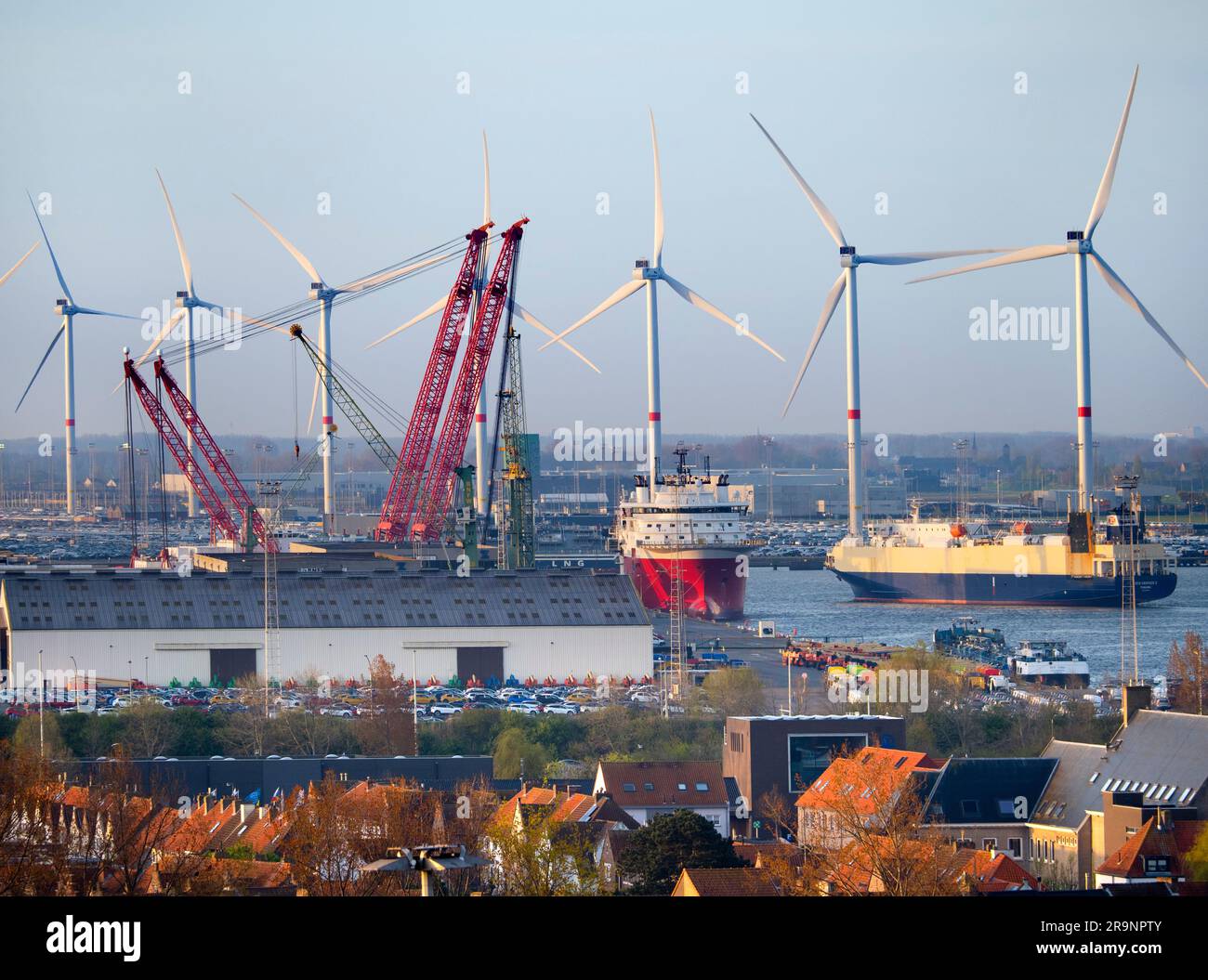 Il porto di Zeebrugge (che significa Bruges-on-Sea) è un grande container, carico alla rinfusa, veicoli nuovi e terminal dei traghetti passeggeri sul Mare del Nord. handl Foto Stock
