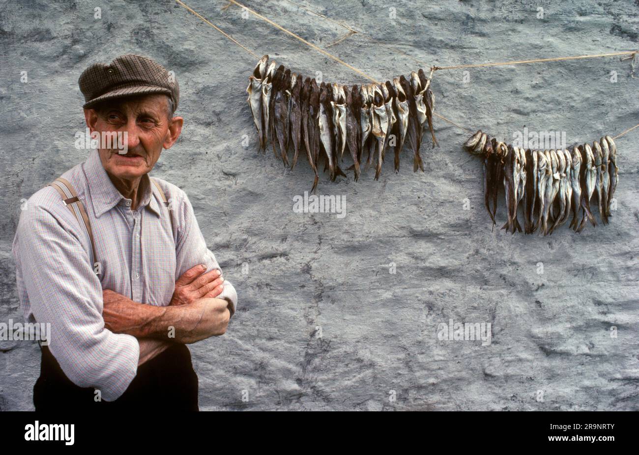 Crofting, un pescatore che esce a Whiting sulla parete posteriore di croft, si sta asciugando. E poi sarà conservato e mangiato in un secondo momento. Shetlands Mainland, Isole Shetland, Scozia, circa 1979. REGNO UNITO 1970S HOMER SYKES Foto Stock