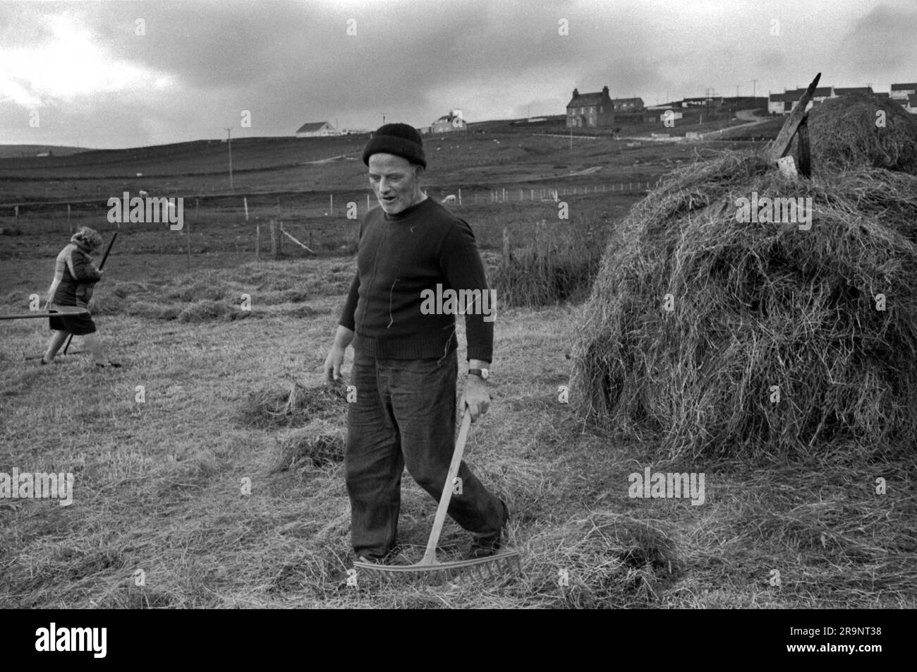 Crofting Shetland Islands. Crofters, marito e moglie che costruiscono una pila di fieno. La nuova industria petrolifera si trova in lontananza sulla collina. Shetlands Mainland, Isole Shetland, Scozia, circa 1979. REGNO UNITO 1970S HOMER SYKES Foto Stock