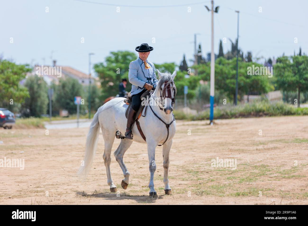 The Rider and His Noble Companion: Microstock Photo with Man on Horseback Foto Stock
