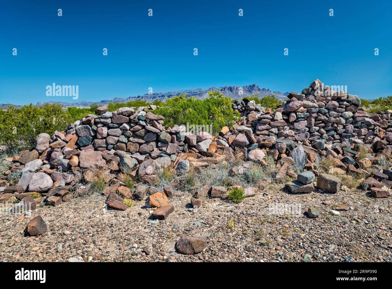 Resti di Johnson Ranch a River Road, deserto del Chihuahuan, Monti Chisos a distanza, Big Bend National Park, Texas, USA Foto Stock