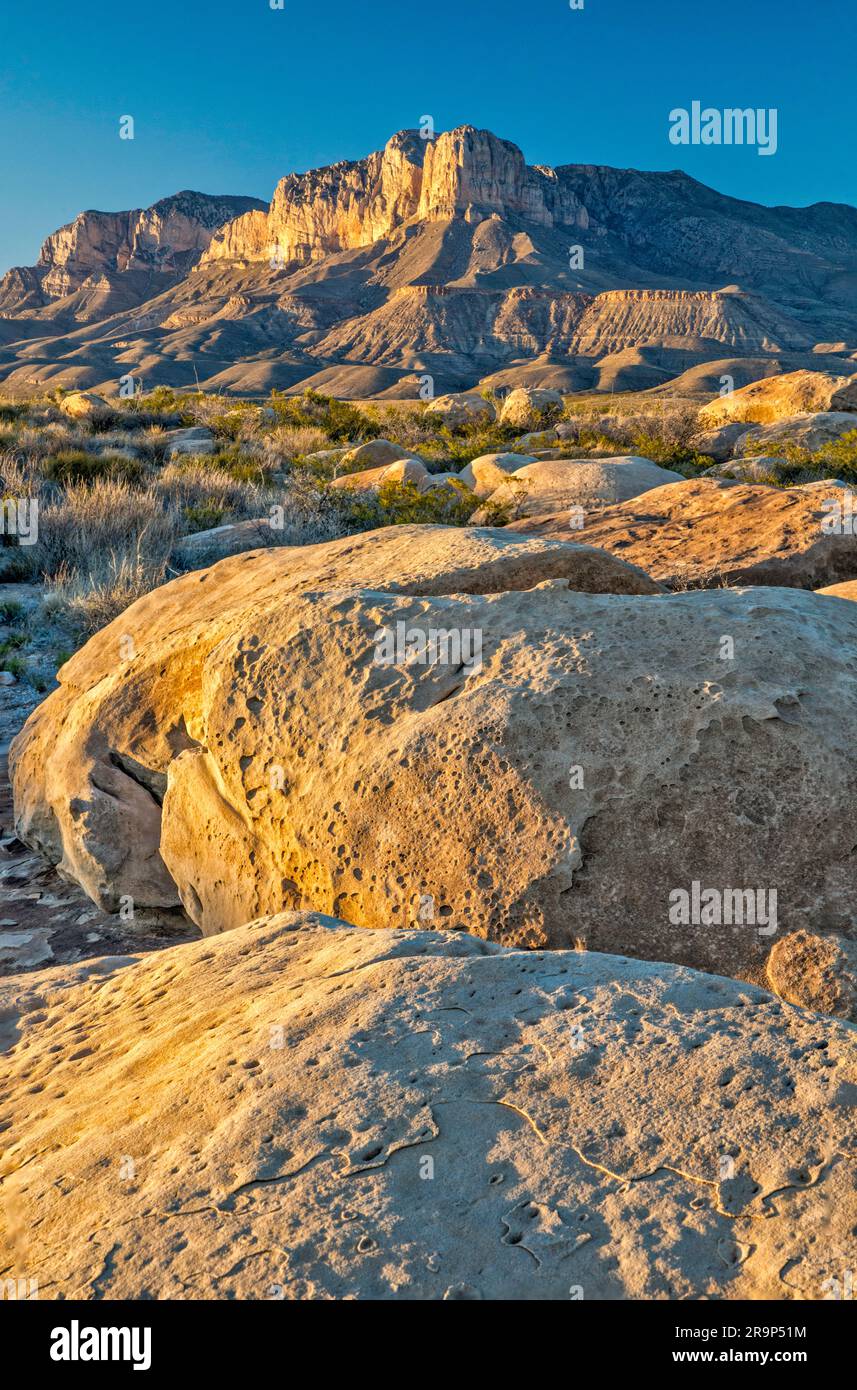 Massi calcarei, montagne Guadalupe, al tramonto, vista vicino alla U.S. 62-180, Texas Mountain Trail, Texas, USA Foto Stock