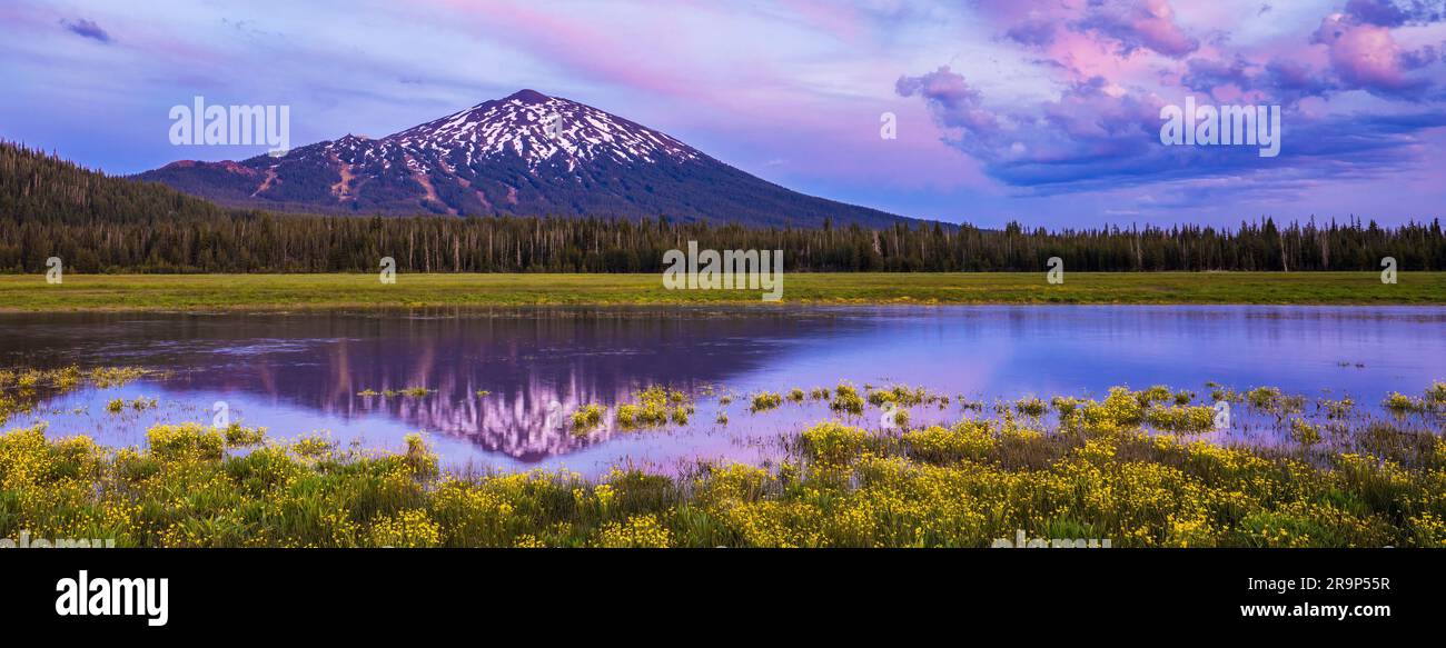 Il prato del lago Sparks e il monte Bachelor con ruscello e fiori selvatici al tramonto. Cascate dell'Oregon centrale Foto Stock