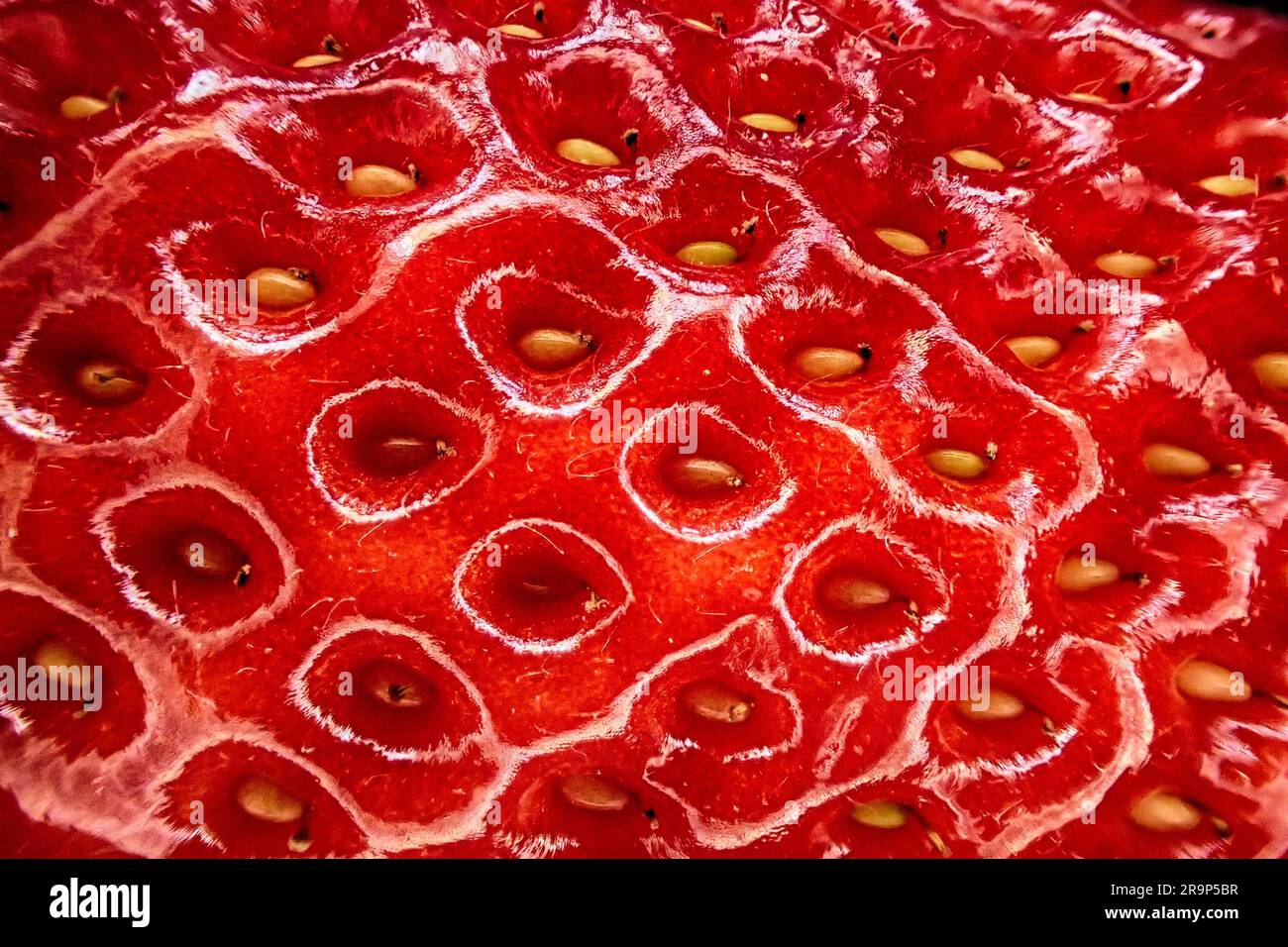 consistenza di fragole fresche come sfondo di cibo naturale molto piacevole Foto Stock