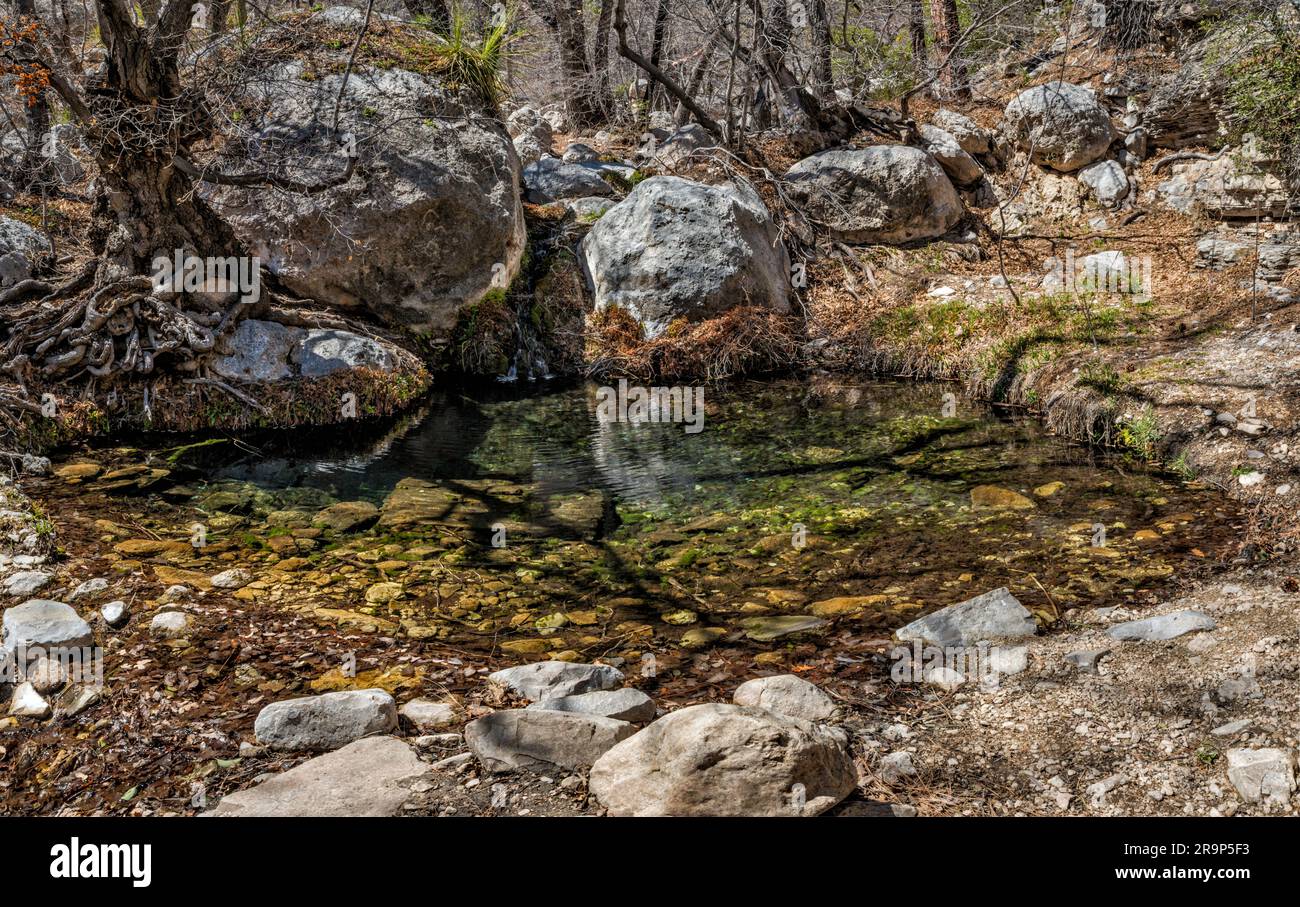 Massi calcarei sopra la piscina d'acqua di Smith Spring, all'inizio della primavera, Guadalupe Mountains National Park, Texas, Stati Uniti Foto Stock