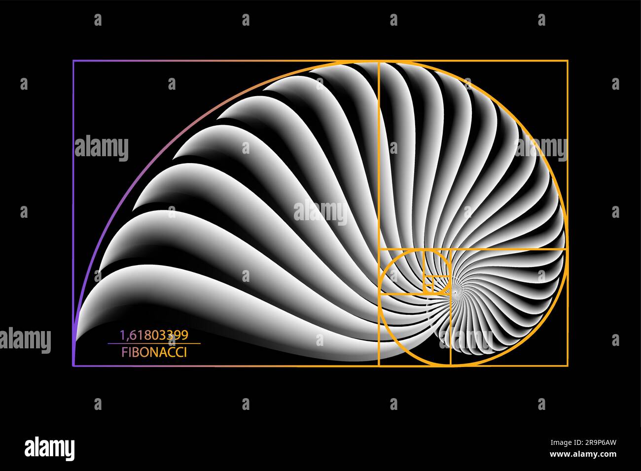 Fibonacci Sequence Golden ratio. Forme geometriche a spirale. Spirale di lumaca. Conchiglia marina di cerchi bianchi. Modello logo a geometria sacra. Vettore isolato Illustrazione Vettoriale