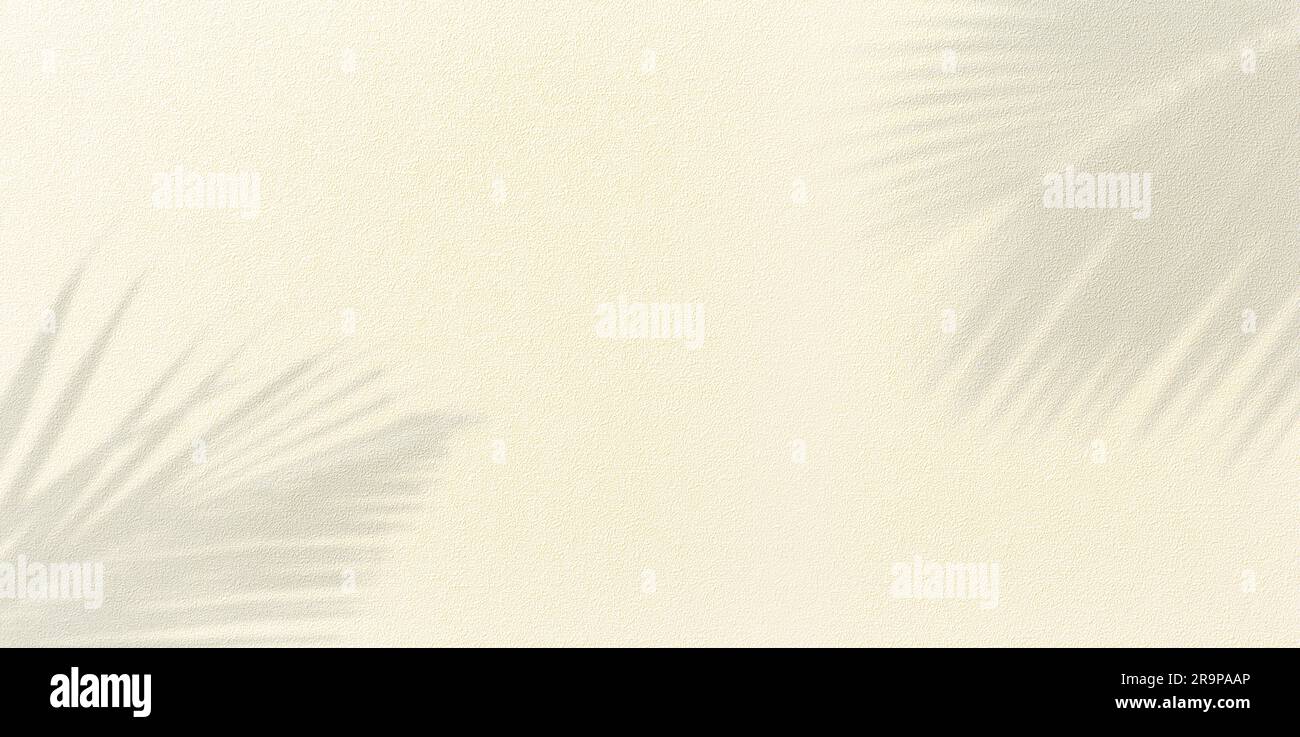 Panorama di parete a trama con ombra di foglie di palma da cocco su sfondo sabbioso. Spiaggia tropicale estiva. Palme di colore pastello. Foto Stock