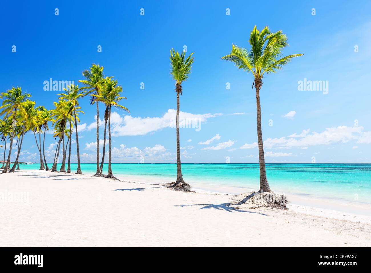 Splendida spiaggia tropicale di sabbia bianca, palme da cocco e acque turchesi a Punta Cana, Repubblica Dominicana. Sfondo delle vacanze estive. Soleggiato Foto Stock