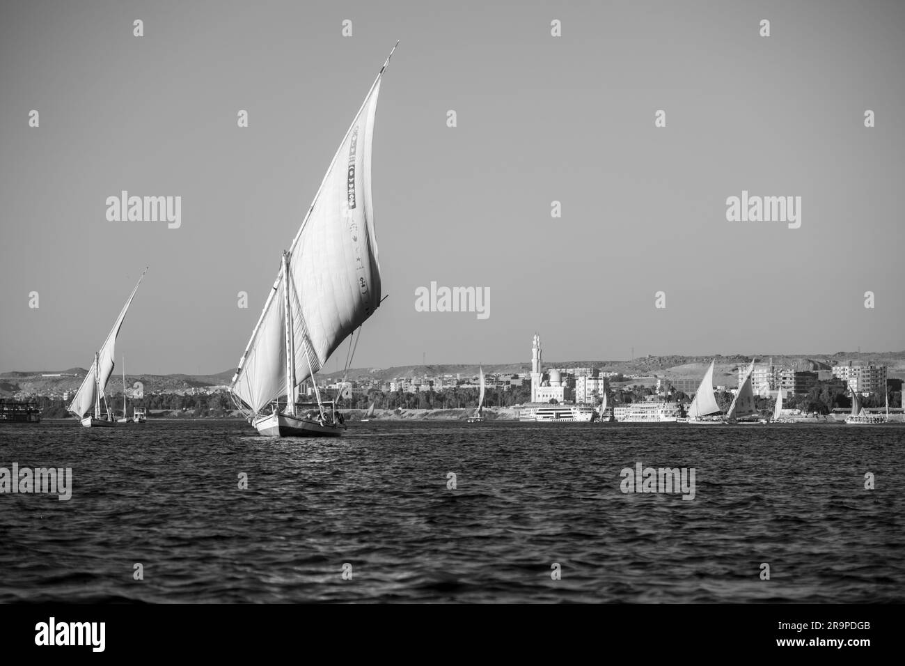 Barche a vela in feluca sul Nilo in bianco e nero Foto Stock