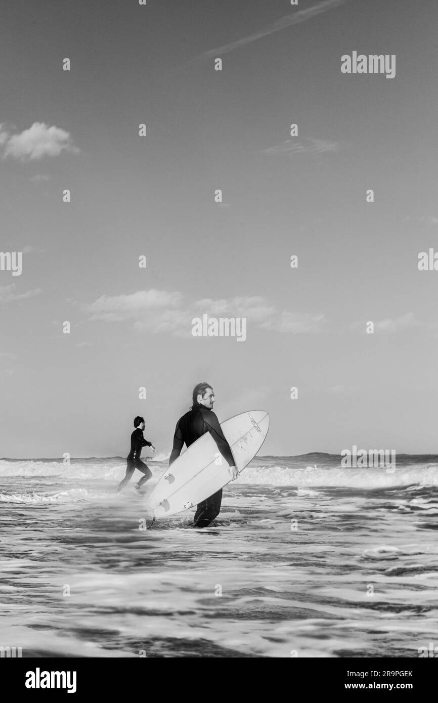 Una scala di grigi di due surfisti che escono dall'acqua tenendo in mano le tavole da surf Foto Stock