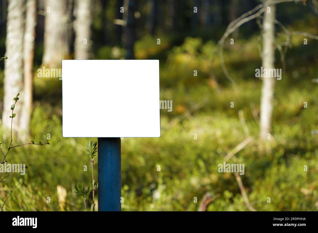 Cartello bianco vuoto con sfondo foresta. Foto Stock