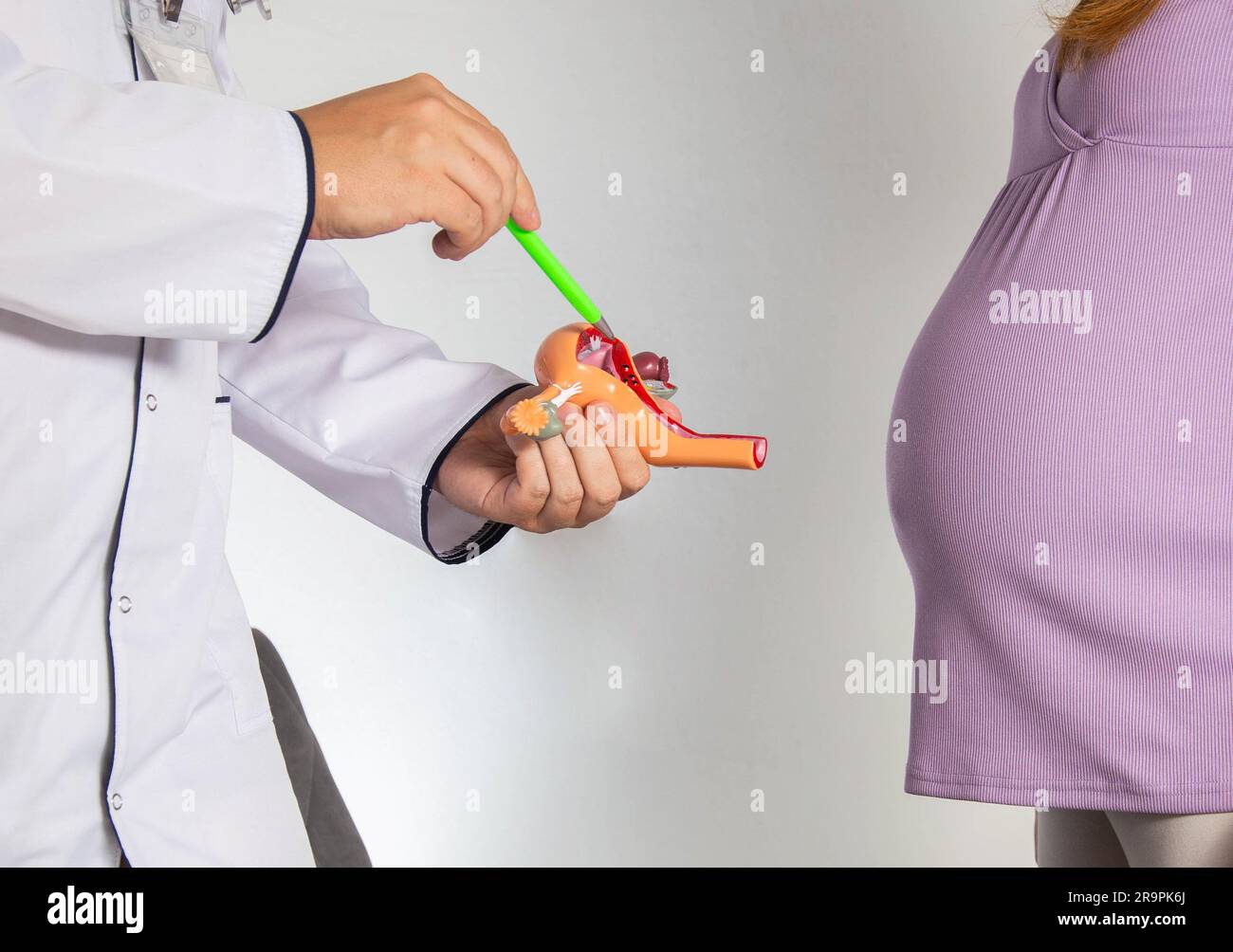 Un ginecologo spiega a una ragazza incinta il processo di fecondazione delle uova utilizzando l'esempio di un modello del sistema riproduttivo. Gravidanza Foto Stock