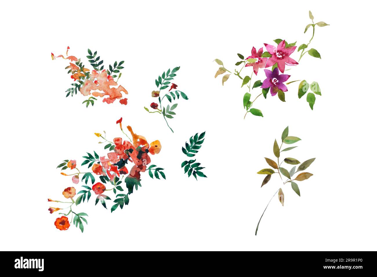 semplici elementi di fiori ad acquerello isolati su sfondo bianco stile ingenuo Foto Stock