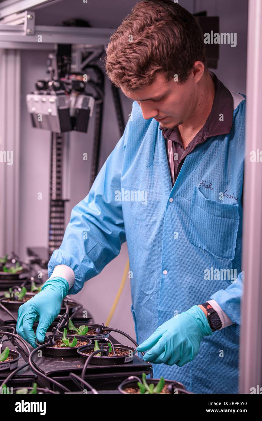 Lo scienziato orticolo Blake Costine adegua i sensori di umidità per il progetto Advanced Plant Imaging presso il Kennedy Space Center della NASA il 17 aprile 2023, utilizzando telecamere iperspettrali per monitorare lo stato delle piante all'interno dell'area di produzione dello Space Station Processing Facility per esperimenti ISS. Foto Stock