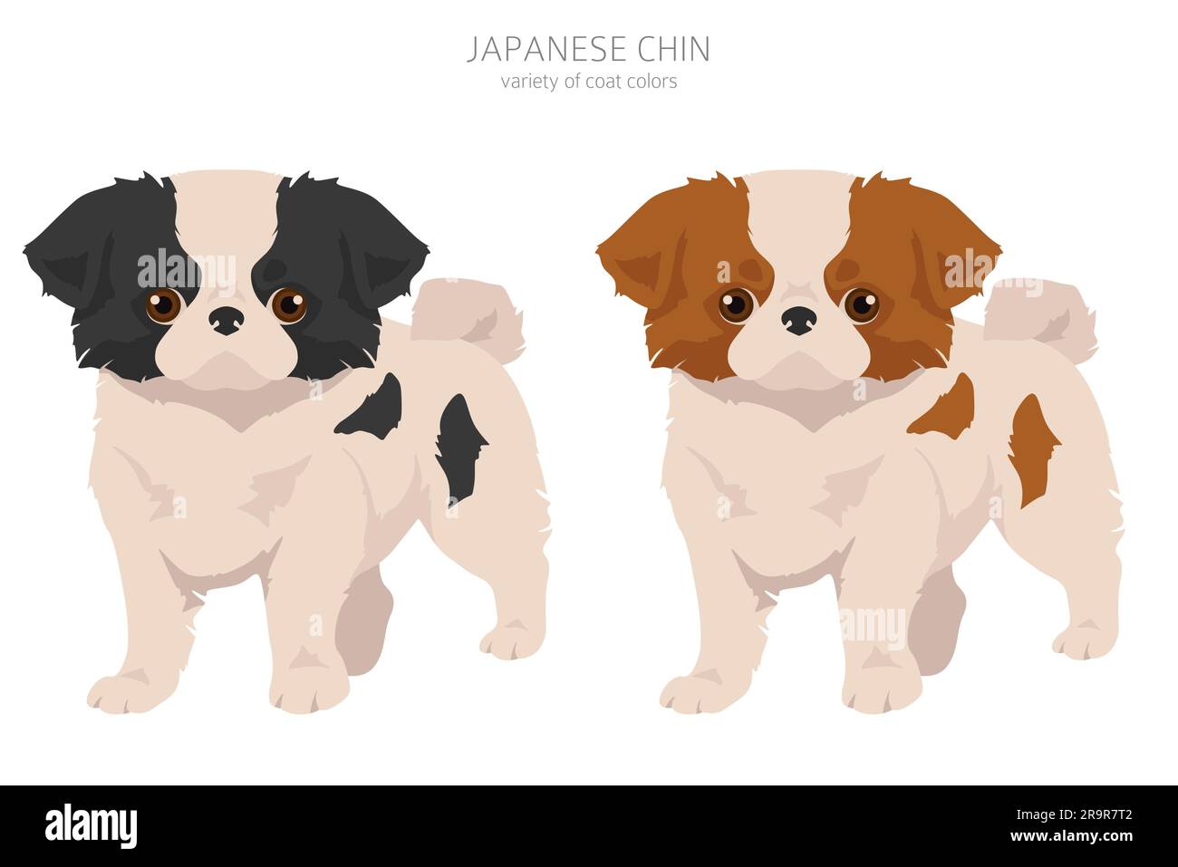 Clip cuccioli di mento giapponese. Diverse pose, set di colori del rivestimento. Illustrazione vettoriale Illustrazione Vettoriale