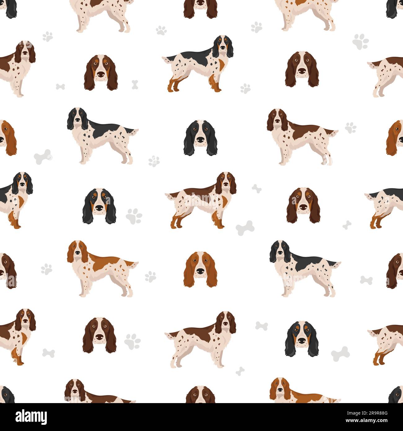 Motivo senza cuciture Russian Spaniel. Tutti i colori del rivestimento sono impostati. Infografica sulle caratteristiche di tutte le razze di cane. Illustrazione vettoriale Illustrazione Vettoriale