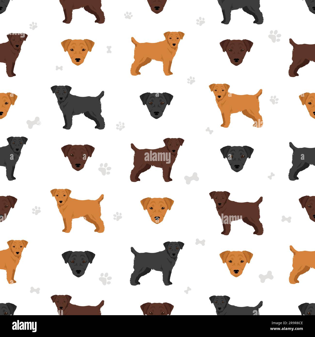 Patterdale terrier capelli rotti motivo senza cuciture. Tutti i colori del rivestimento sono impostati. Illustrazione vettoriale Illustrazione Vettoriale