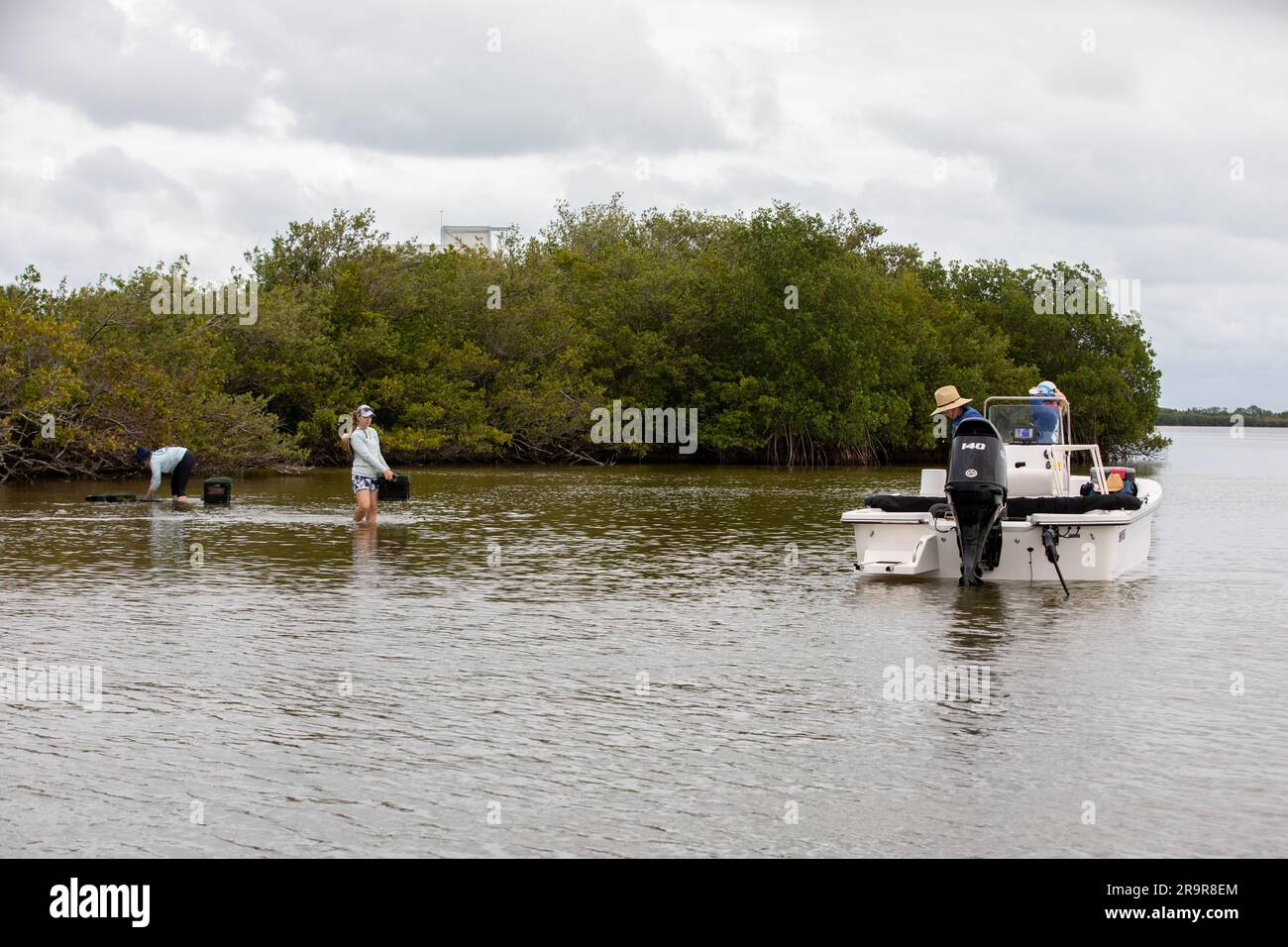 Sea Grass Restoration Project. I membri della Florida Oceanographic Society raccolgono stuoie di alghe marine dal loro sito di stoccaggio presso il Kennedy Space Center della NASA in Florida mentre si preparano a piantarle nel fiume Banana, uno dei tre corpi d'acqua che compongono la Indian River Lagoon (IRL), il 29 marzo, 2023. Il ramo di gestione ambientale di Kennedy sta lavorando per piantare almeno 28.000 germogli di alghe marine divisi in 18 siti in tre aree dello spazioporto della Florida come parte di un progetto pilota per gli sforzi di restauro delle alghe marine. Il progetto esaminerà la fattibilità del reimpianto di seagr Foto Stock