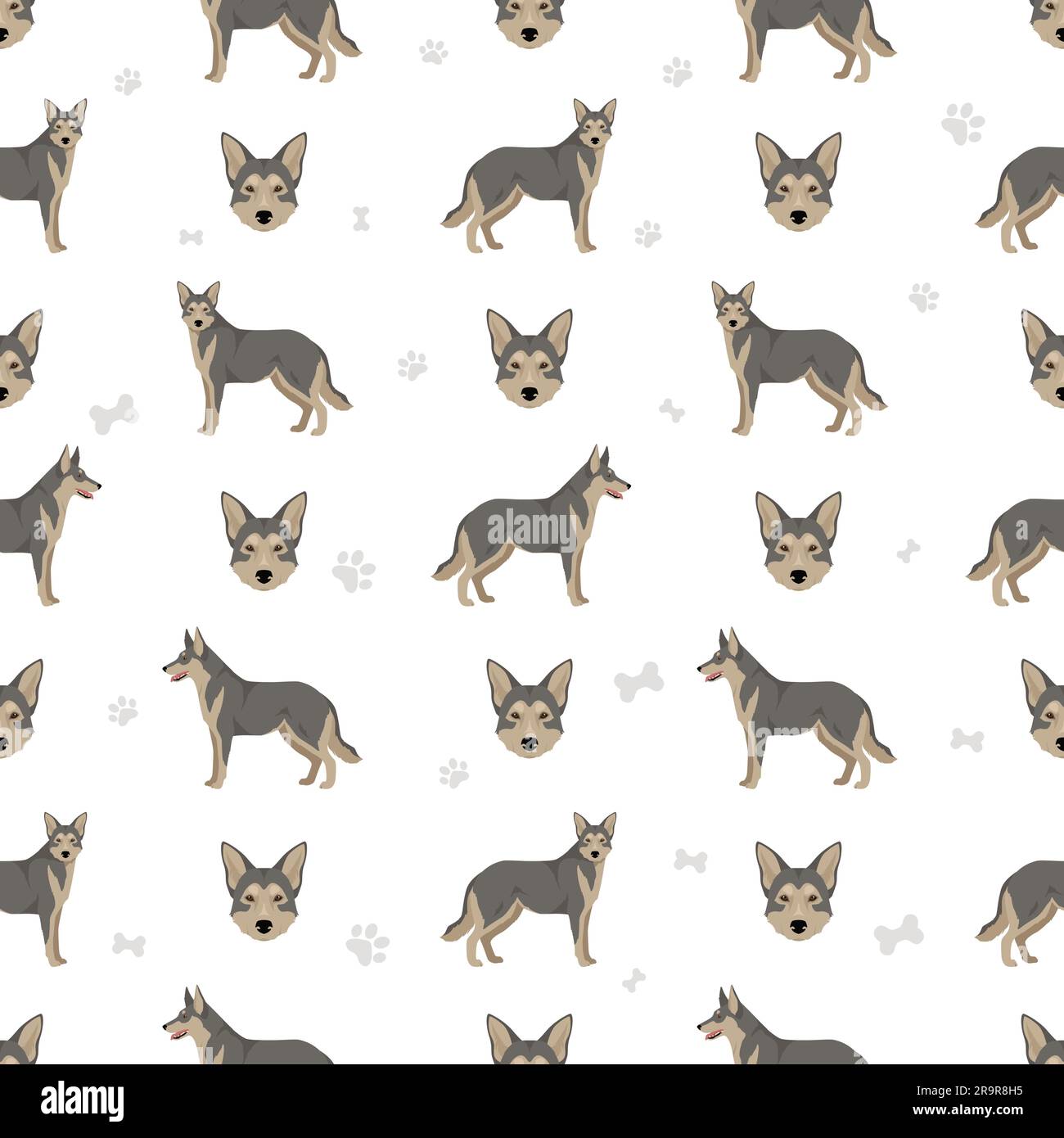 Motivo Wolfdog Saarloos senza cuciture. Tutti i colori del rivestimento sono impostati. Infografica sulle caratteristiche di tutte le razze di cane. Illustrazione vettoriale Illustrazione Vettoriale