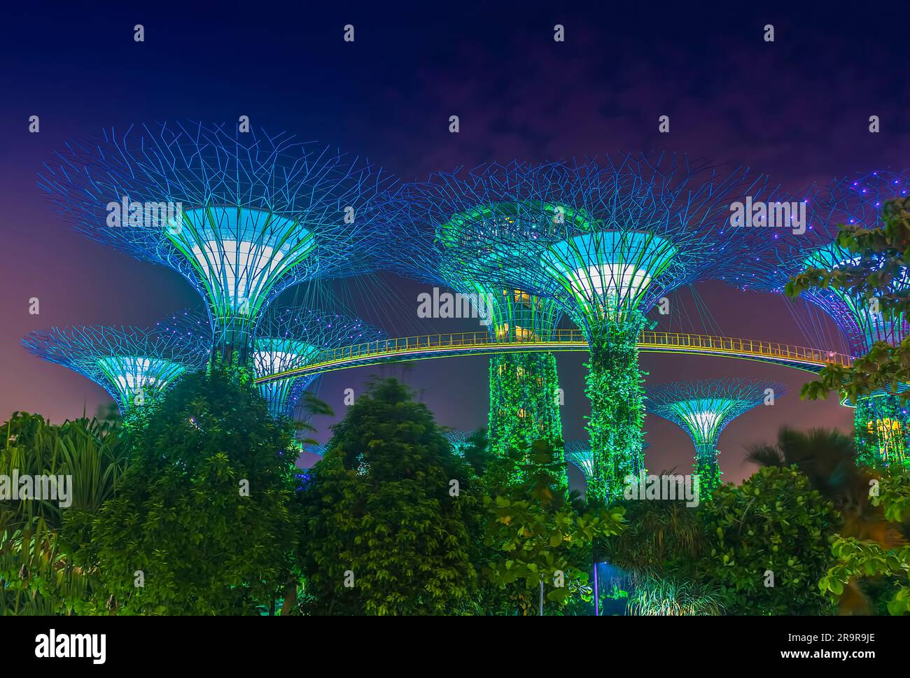 Il Supertree Grove illuminato presso i Giardini di Singapore presso la Baia Foto Stock
