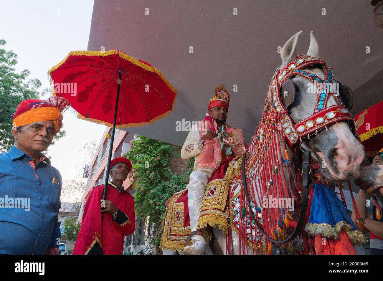 Jodhpur, Rajasthan, India - 19.10.2019: Grande ombrello rosso per Groom che indossa garland of Money per Baraat per raggiungere il luogo del matrimonio cavalcando a cavallo. Foto Stock