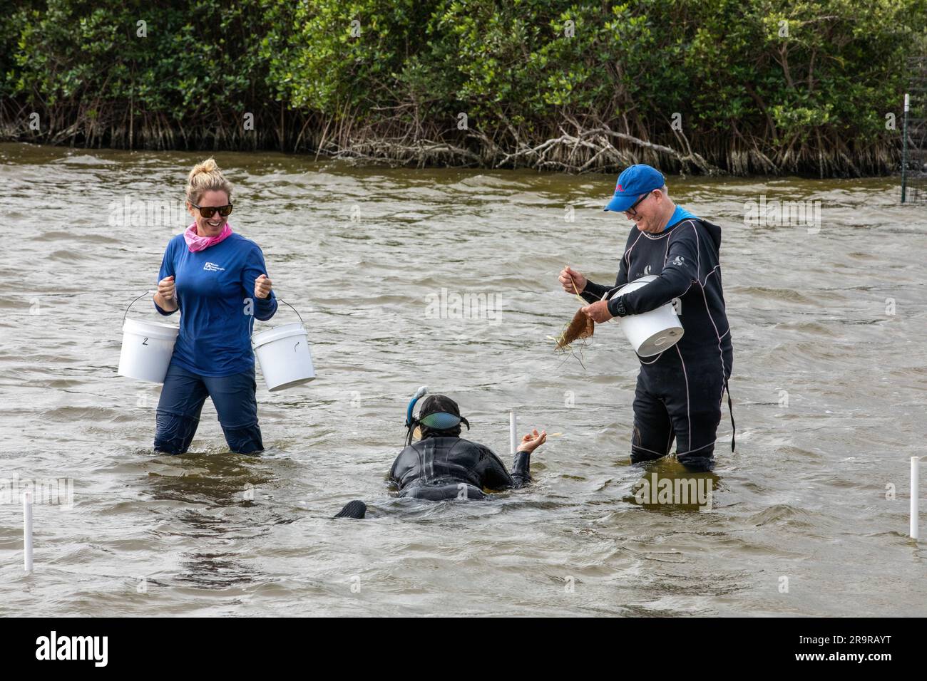 Sea Grass Restoration Project. Lorae Simpson (a sinistra), direttore di ricerca e conservazione presso la Florida Oceanographic Society, E Doug Scheidt (a destra), un ecologista che lavora al contratto ambientale e medico della NASA (NEMCON), iniziano a piantare seagrass nel fiume Banana – uno dei tre corpi d'acqua che compongono la laguna del fiume Indiano (IRL) – al Kennedy Space Center della NASA in Florida il 29 marzo 2023. Scheidt sta consegnando ogni "trama" di seagrass ad un altro membro della Florida Oceanographic Society nell'acqua, che poi usa spiedini di bambù per puntare ciascuno nel sedimento. L'Envir. Di Kennedy Foto Stock