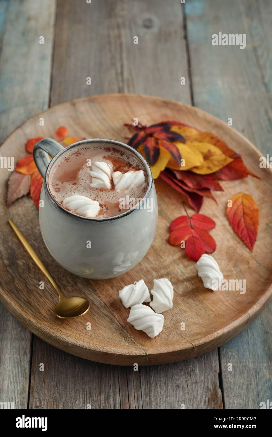 Tazza di deliziosa cioccolata calda con marshmallow e foglie colorate autunnali su vassoio rotondo di legno su fondo di legno, vista dall'alto Foto Stock