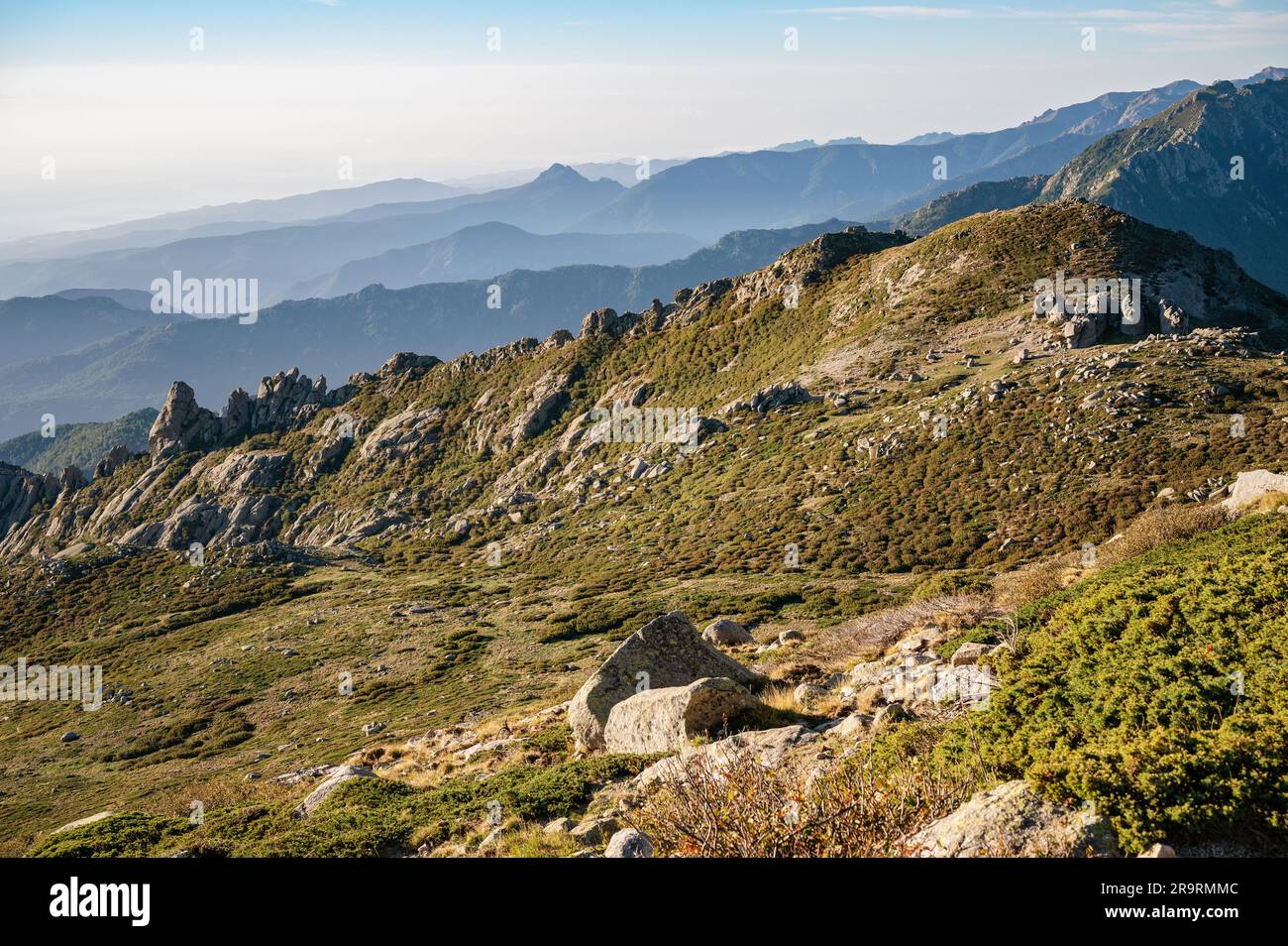 Parte orientale della Corsica dalla GR20 tra Prati e Usciolu, Corsica, Francia Foto Stock