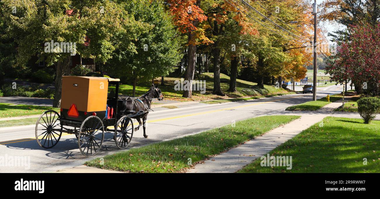 Buggy Amish su strada di campagna, regione Amish, Pennsylvania, Stati Uniti Foto Stock