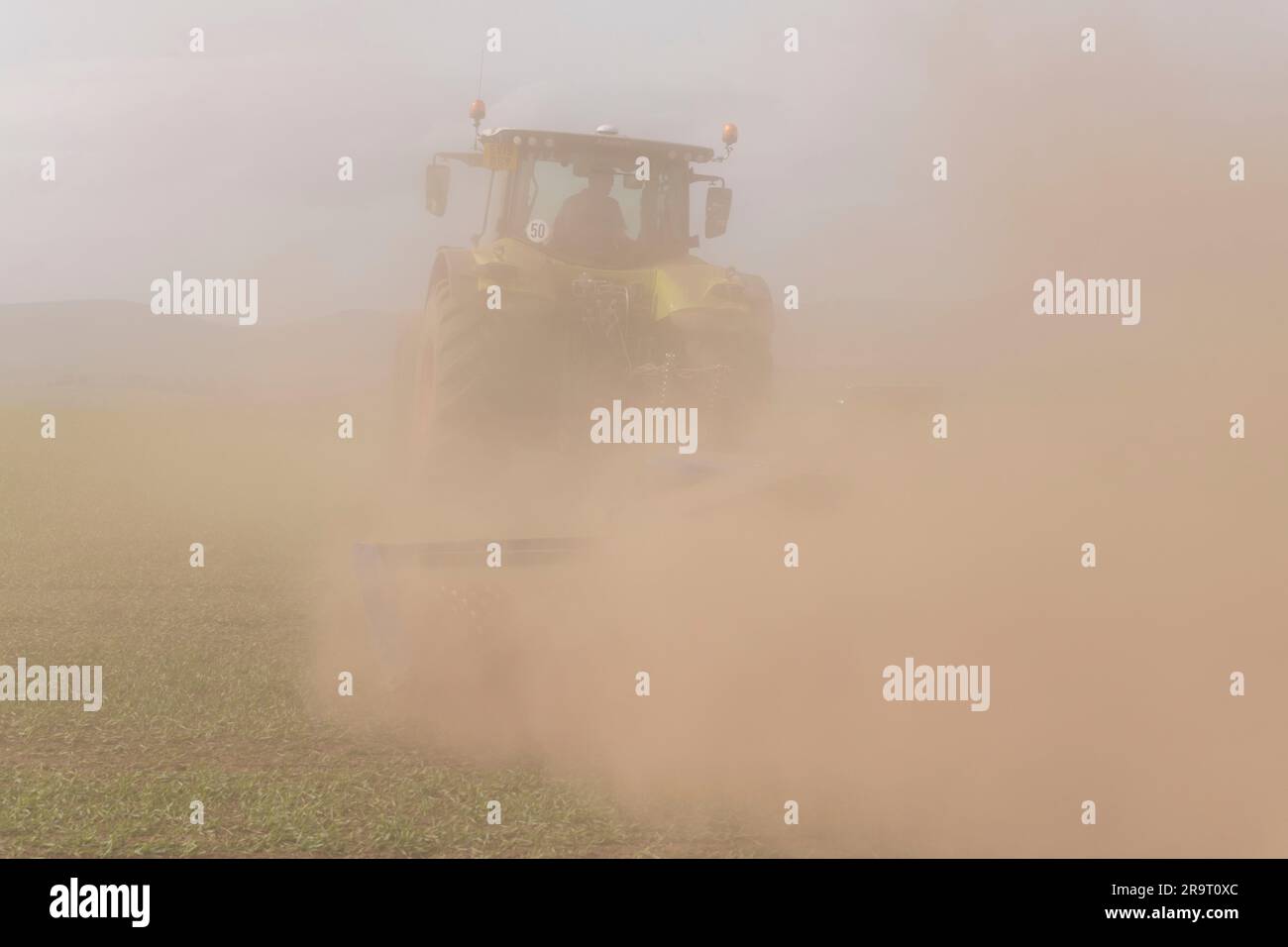 Un contadino che rotola un campo di orzo primaverile in condizioni di clima secco e crea nuvole di polvere Foto Stock