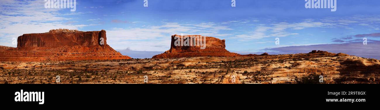 Formazioni rocciose nel deserto, Canyonlands National Park, Utah, USA Foto Stock