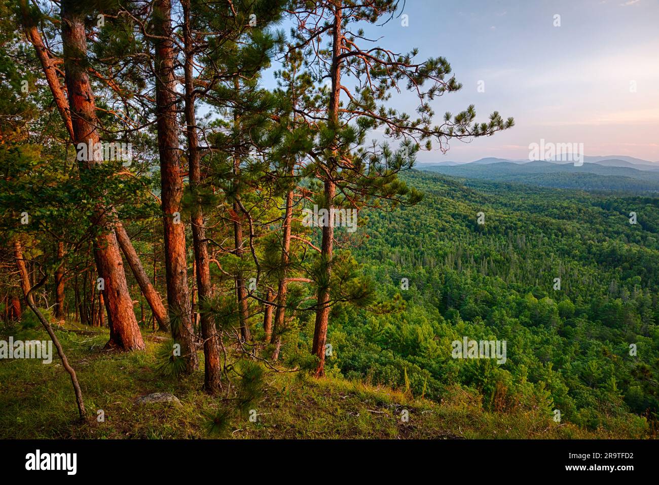 Paesaggio forestale da Kipp Mountain, Adirondack Mountains, New York, USA Foto Stock