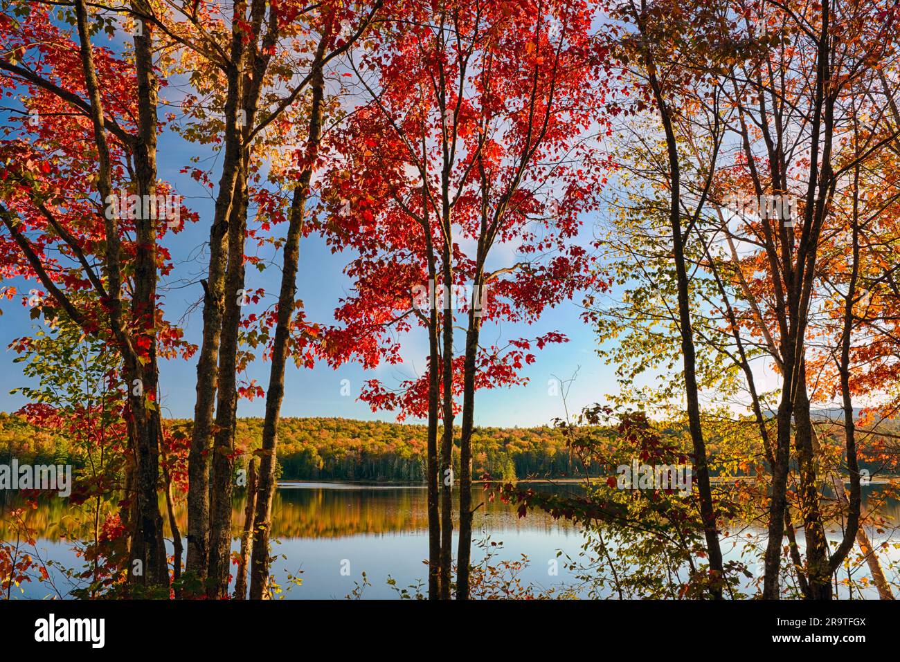 Autunno sul lago Durant, sulle montagne Adirondack, New York, Stati Uniti Foto Stock
