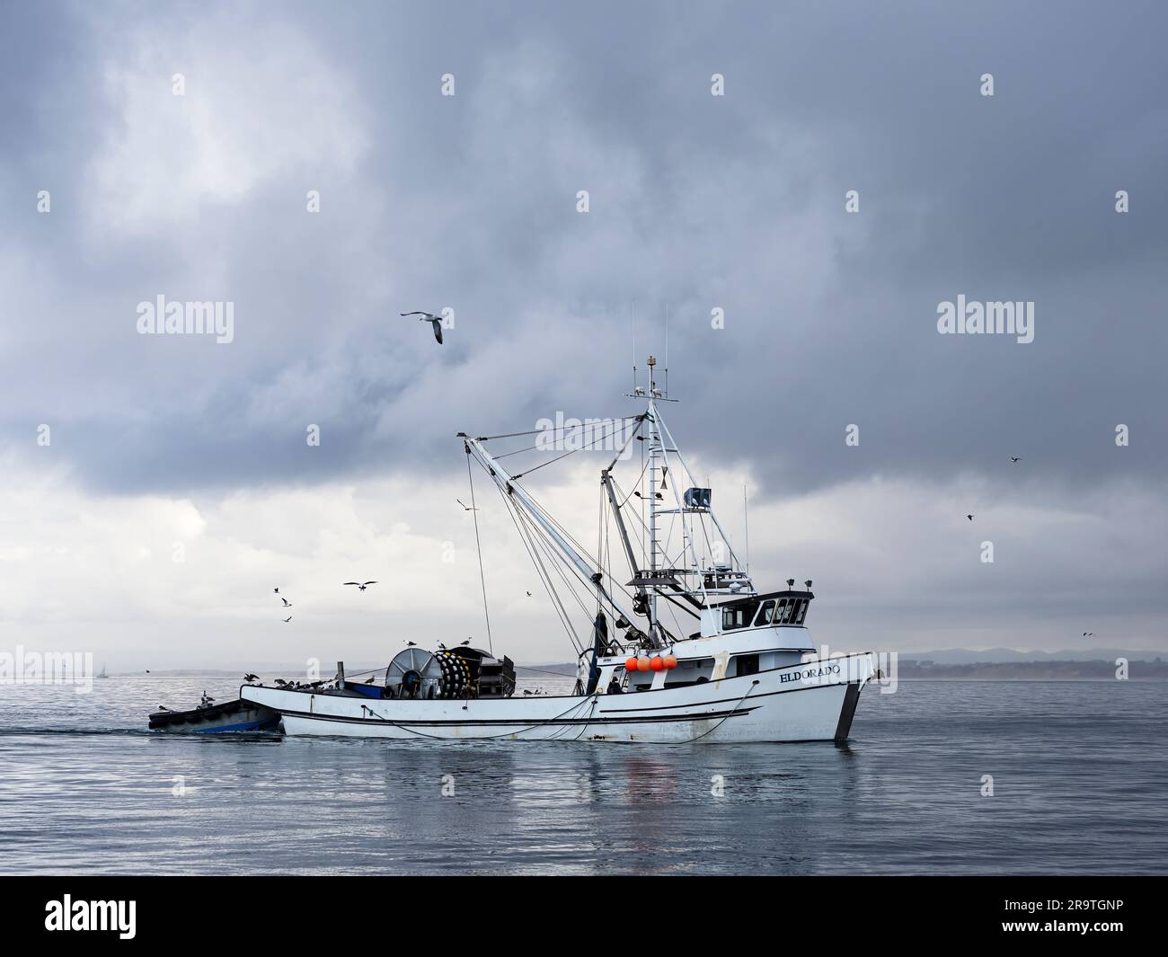 Nave commerciale con reti a circuizione Eldorado che opera nel Monterey Bay Marine Sanctuary, Monterey, California, USA Foto Stock