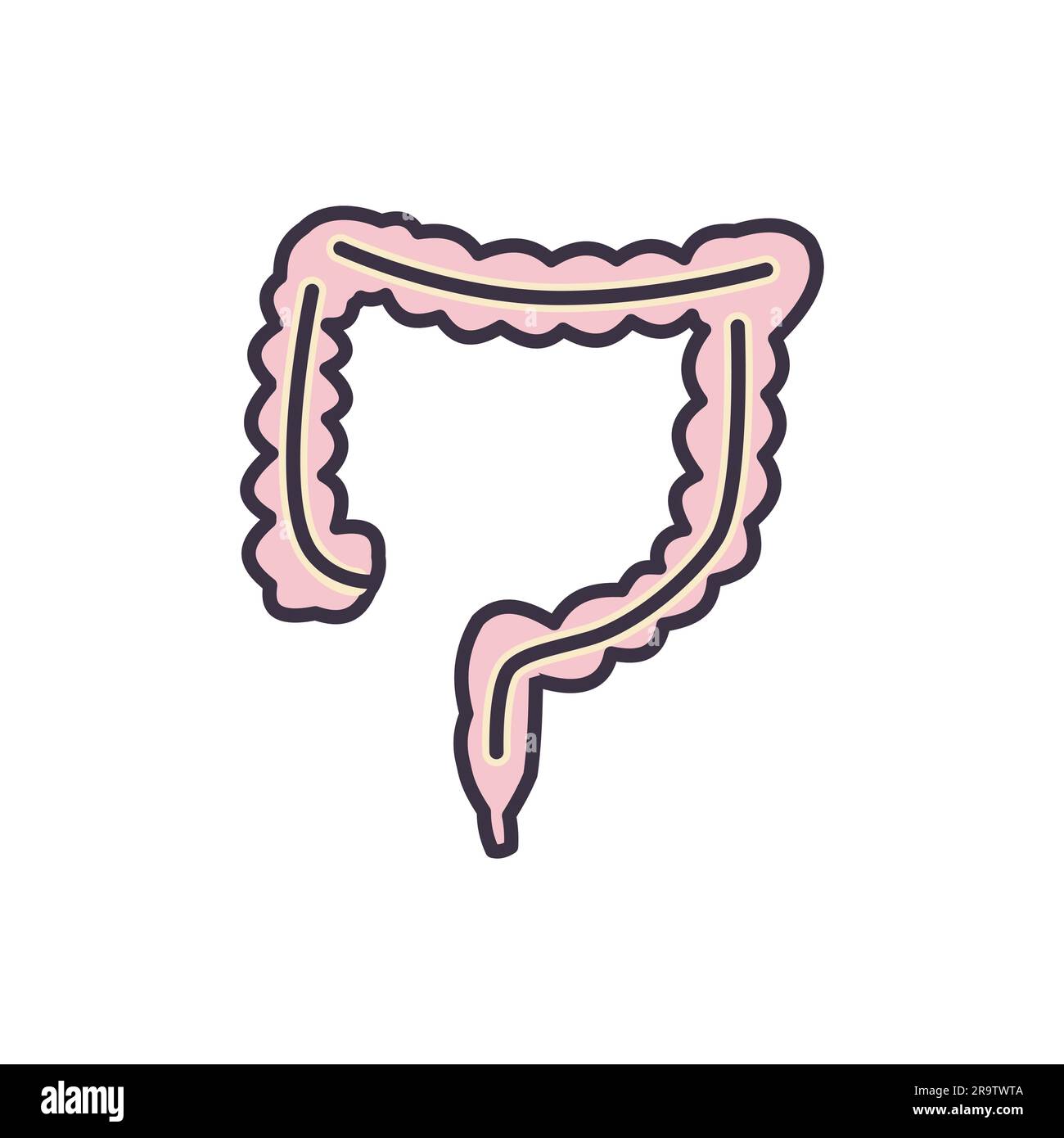 Icona linea vettoriale correlata all'intestino. Isolato su sfondo bianco. Tratto modificabile Illustrazione Vettoriale