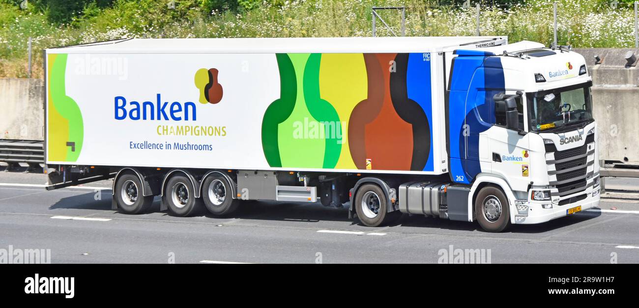 Semirimorchio non articolato per autocarro bianco Continental Scania 450 S gestito dall'azienda Banken Champignons Mushroom nei Paesi Bassi sull'autostrada M25 del Regno Unito Foto Stock
