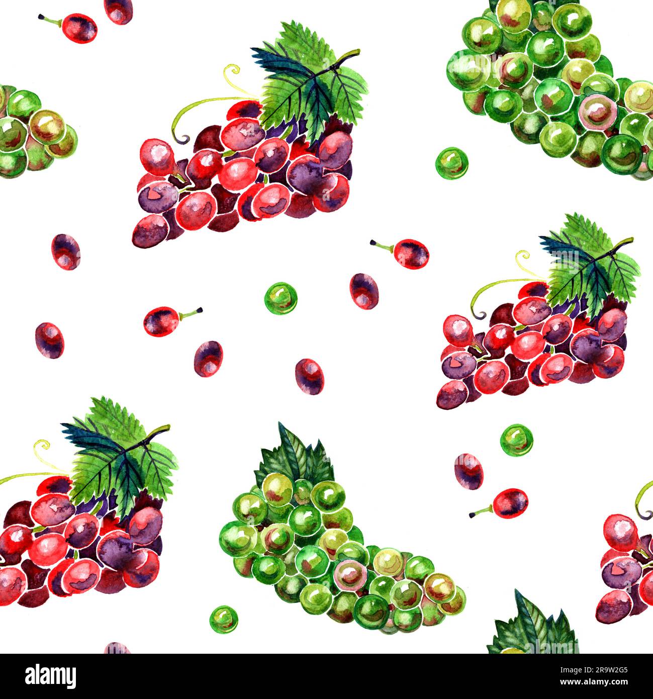 Pennello ad acquerello con motivo uva verde e rossa Foto Stock