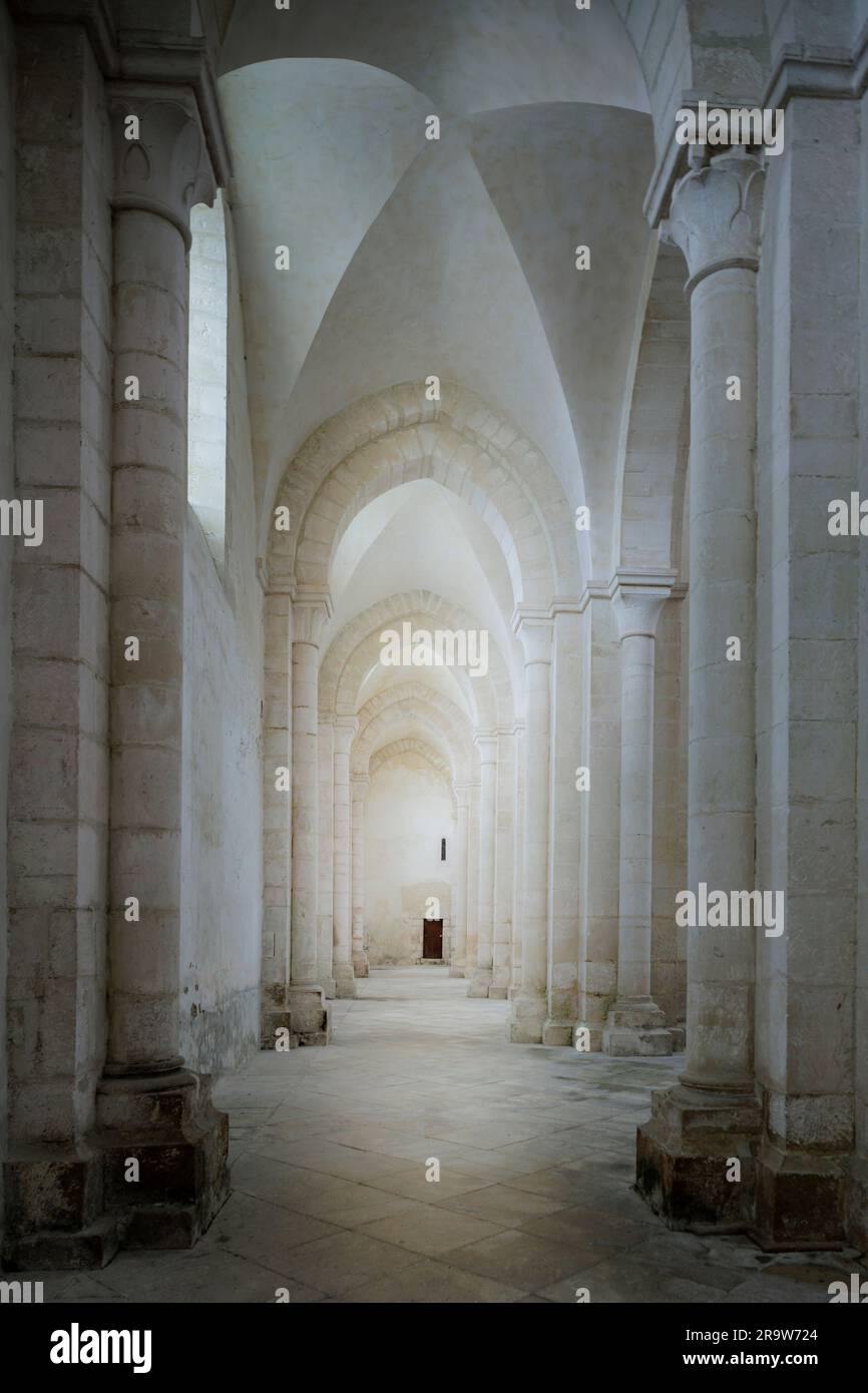 Pontigny Abbey Auxerre Yonne Francia Foto Stock