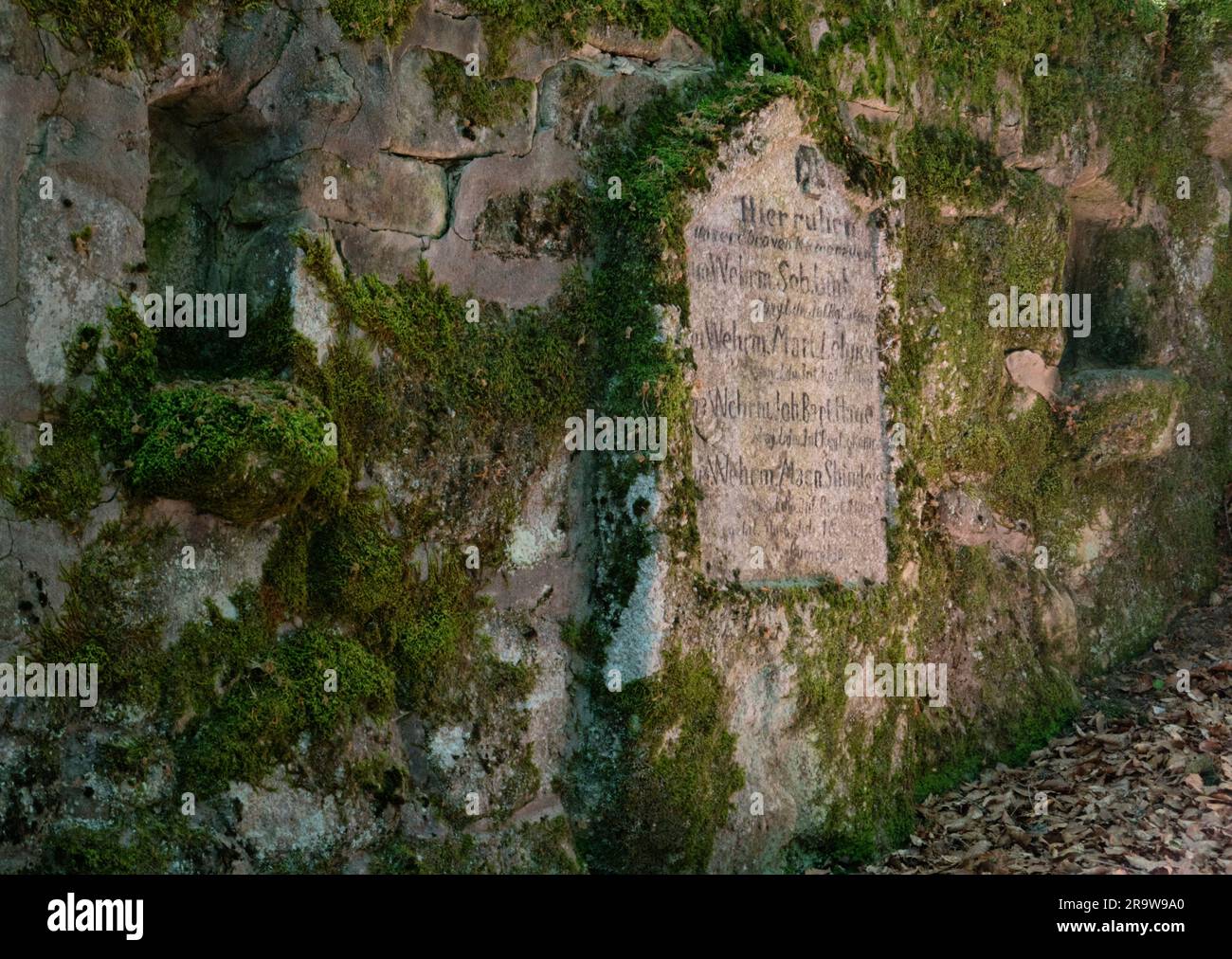 Resti della prima guerra mondiale: Un vecchio cimitero tedesco dimenticato in una foresta nei Vosgi francesi, nomi di soldati caduti scolpiti nella pietra Foto Stock