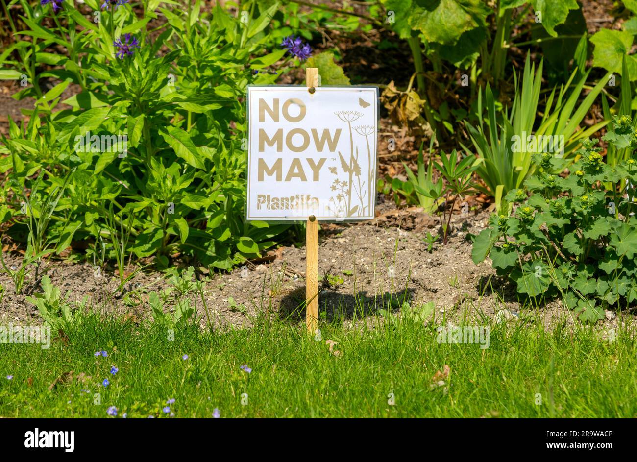 No mow May sign Village Green, Middle Woodford, Woodford Valley, Wiltshire, Inghilterra, REGNO UNITO Foto Stock