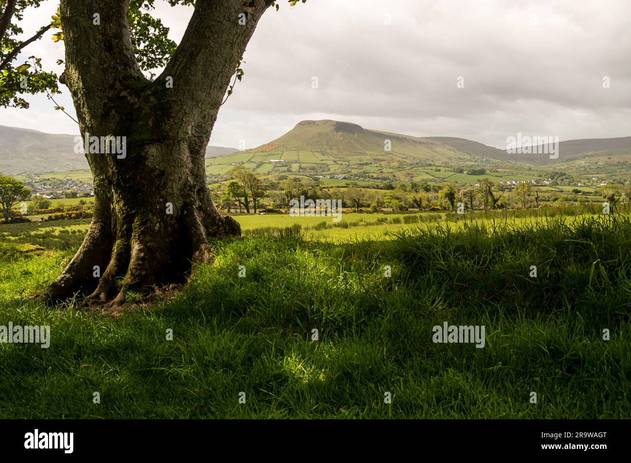 Lurigethan Mountain nella contea di Antrim, Irlanda del Nord Foto Stock